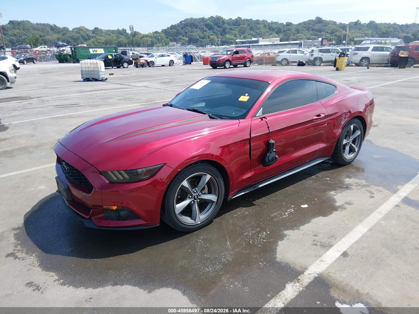 2015 Ford Mustang, Left Side, IAAI, VIN 1FA6P8AM2F5337941 — photo 2