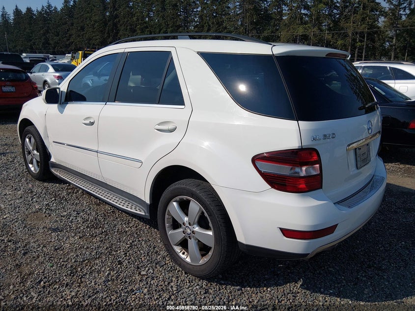 2010 MERCEDES-BENZ ML 350 — zdjęcie 3