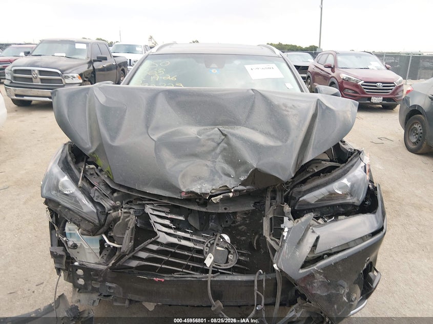 LEXUS NX 300 2019 VIN JTJYARBZ3K2132917