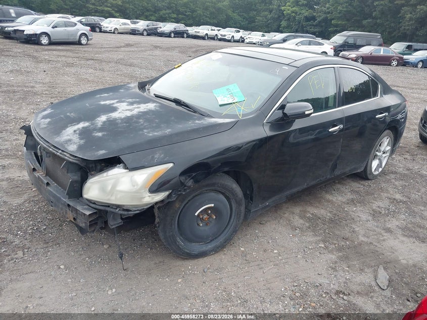 2010 Nissan Maxima, Front & Rear, IAAI, VIN 1N4AA5APXAC834356 — photo 2