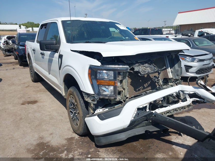 Vin: 1ftew1cp3pkd51986, lot: 46457859, ford f-150 xl 2023 img_1