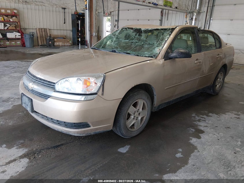 2005 Chevrolet Malibu, Дах, IAAI, VIN 1G1ZT54885F241054 — фото 2