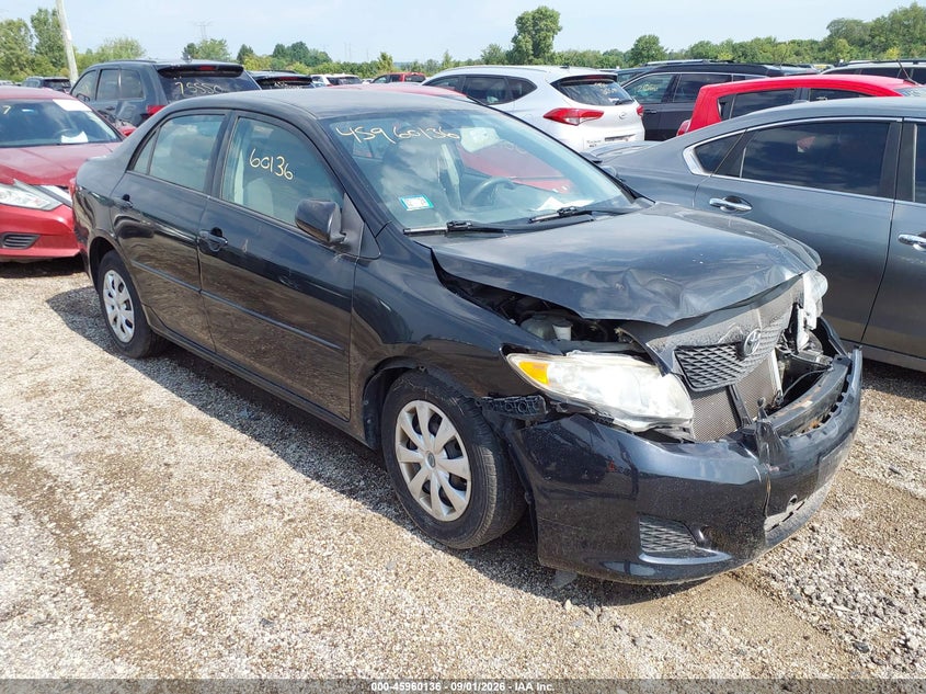 2010 TOYOTA COROLLA auction photo 1