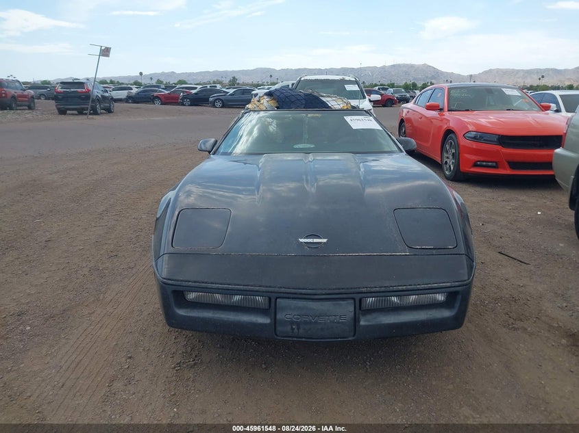 CHEVROLET CORVETTE 1989 VIN 1G1YY2189K5113181