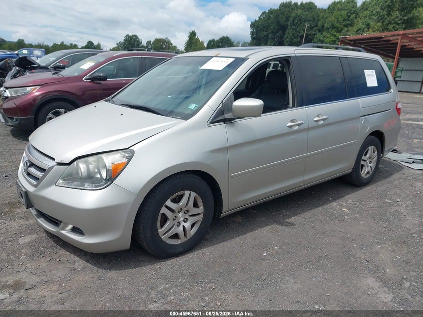 2007 Honda Odyssey, Right Side, IAAI, VIN 5FNRL38737B044877 — photo 2