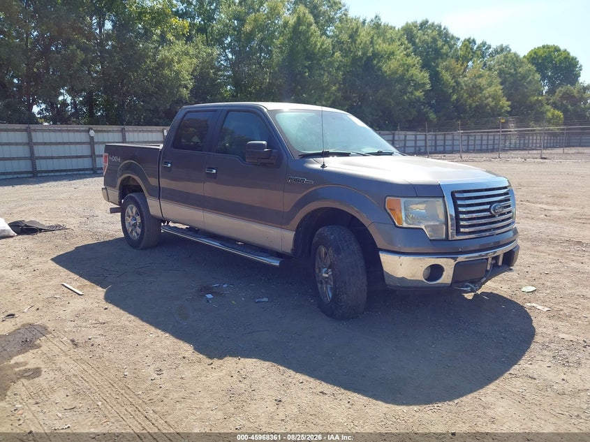 Vin: 1ftfw1ef0bfa18784, lot: 46467580, ford f-150 xlt 2011 img_1