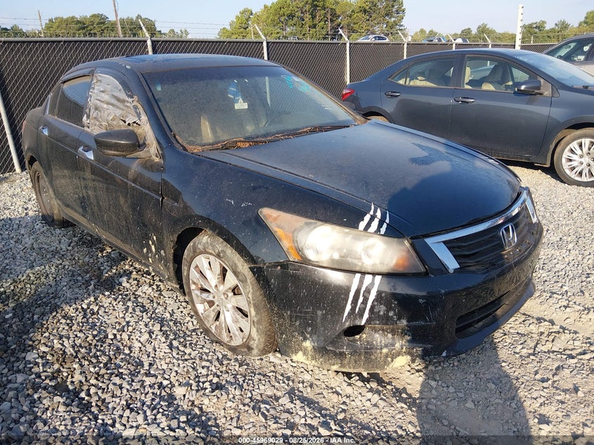 2010 HONDA ACCORD auction photo 1