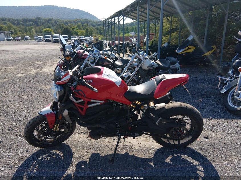 DUCATI MONSTER 2019