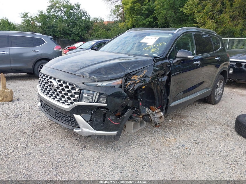 2021 Hyundai Santa Fe Sel, Left Side, IAAI, VIN 5NMS6DAJ5MH338487 — photo 2