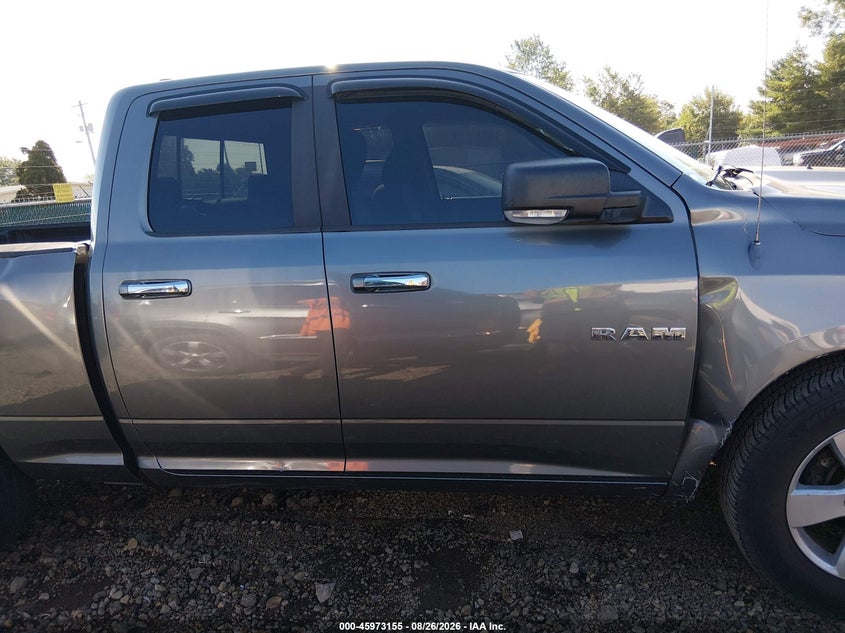 DODGE RAM 1500 2010 VIN 1D7RB1GP2AS165148