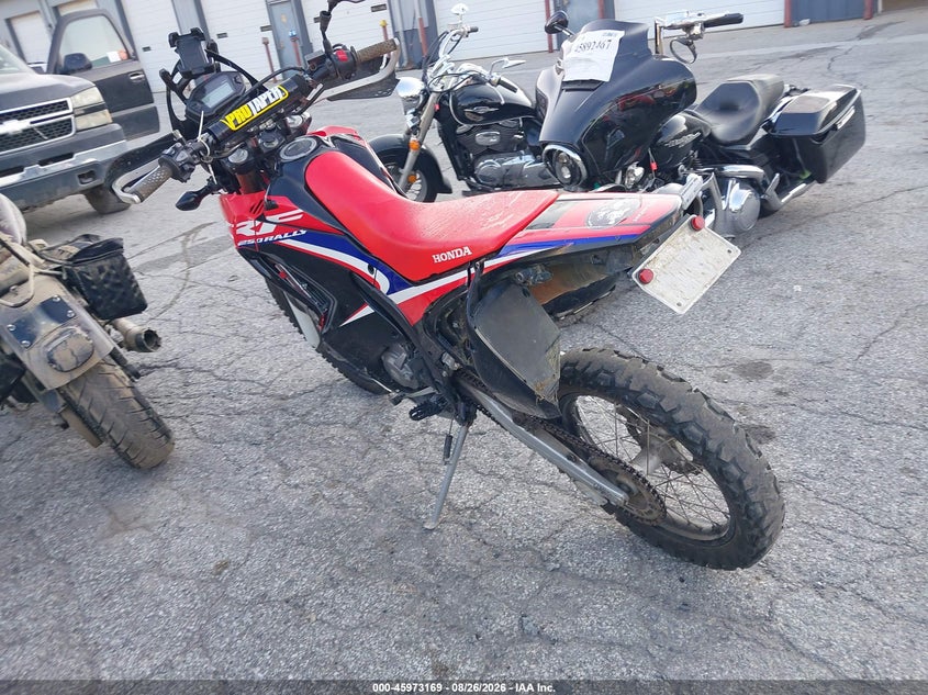 HONDA CRF250 2019