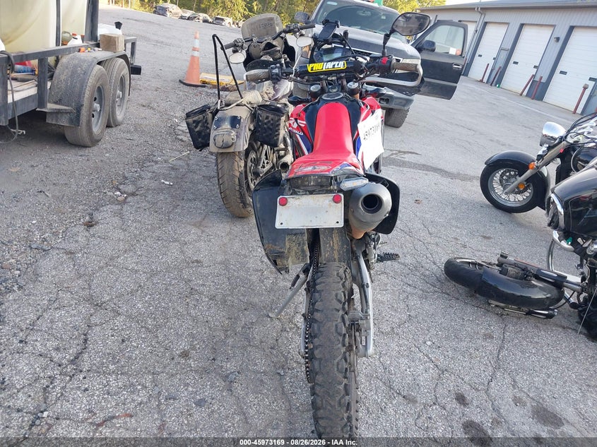 HONDA CRF250 2019