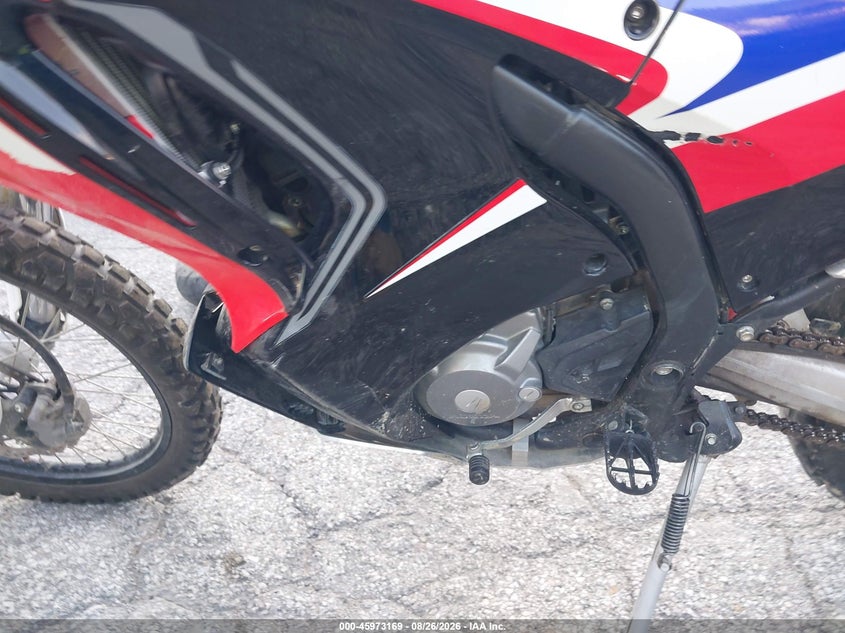 HONDA CRF250 2019