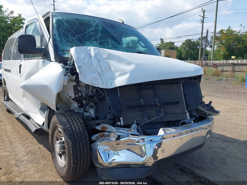 CHEVROLET EXPRESS PASSENGER 2020 VIN 1GAZGPFGXL1116684