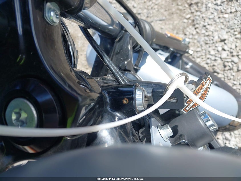 HARLEY-DAVIDSON XL883 2020