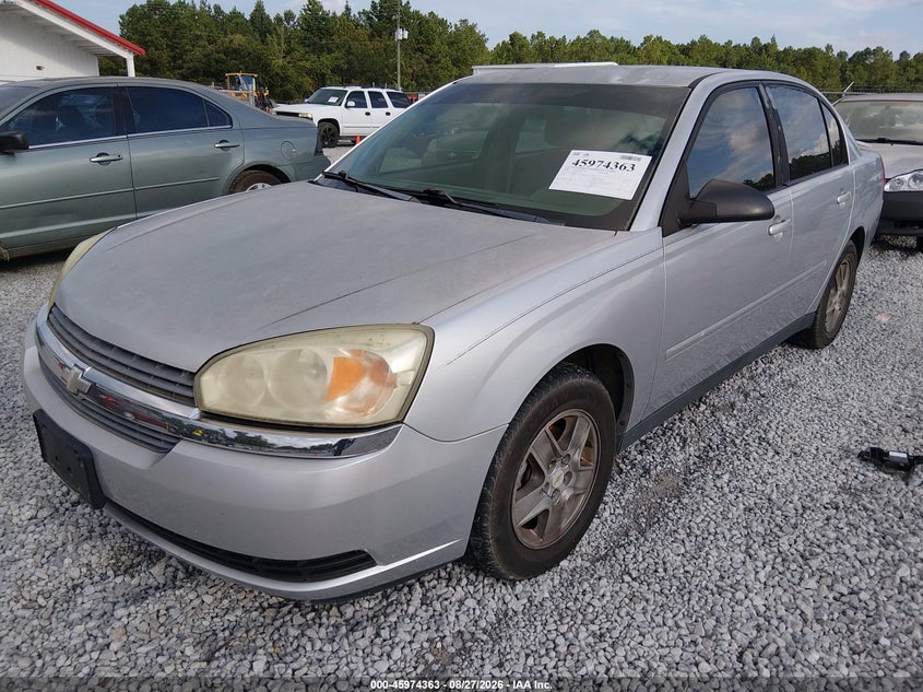 2005 Chevrolet Malibu, Обычный износ, IAAI, VIN 1G1ZT54895F231911 — фото 2
