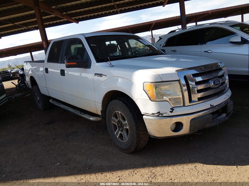 Vin: 1ftfw1ef3bke00752, lot: 46474193, ford f-150 xlt 2011 img_1