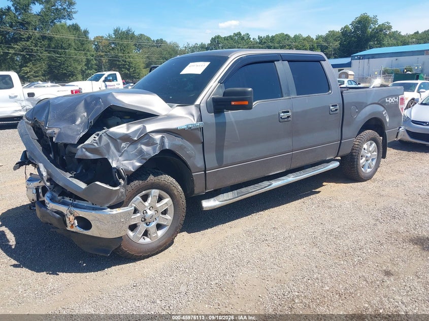 Vin: 1ftfw1ef2efc61498, lot: 46475353, ford f-150 xlt 20142
