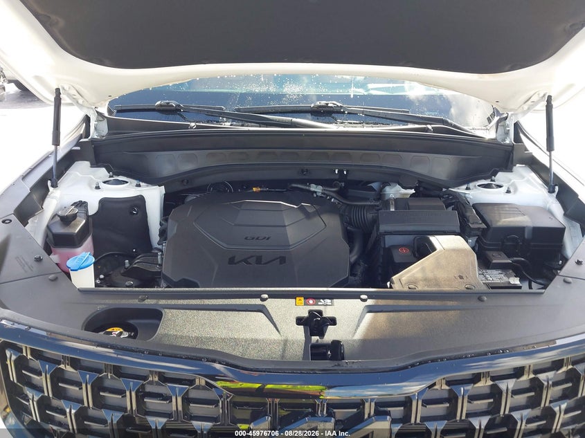 KIA TELLURIDE 2024 VIN 5XYP5DGC5RG463170