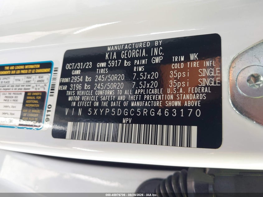 KIA TELLURIDE 2024 VIN 5XYP5DGC5RG463170