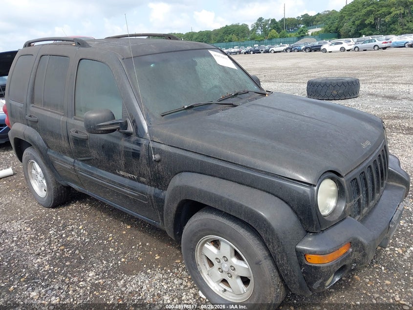 2002 JEEP LIBERTY auction photo 1