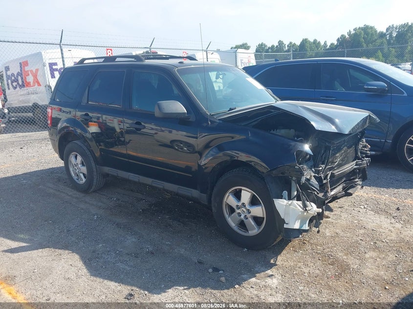 Vin: 1fmcu0dg7akb40198, lot: 46476841, ford escape xlt 2010 img_1