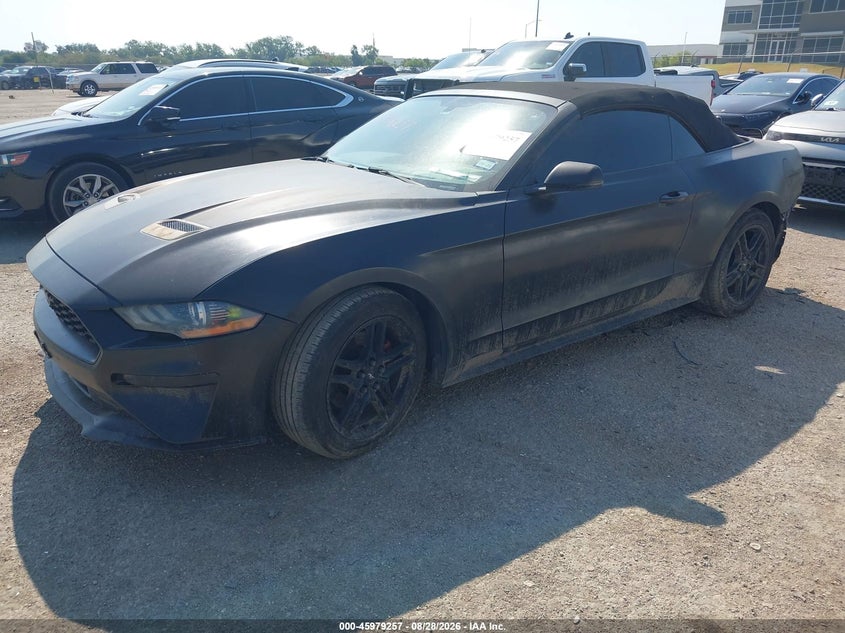 Vin: 1fatp8uh3k5151403, lot: 46478497, ford mustang ecoboost premium 20192