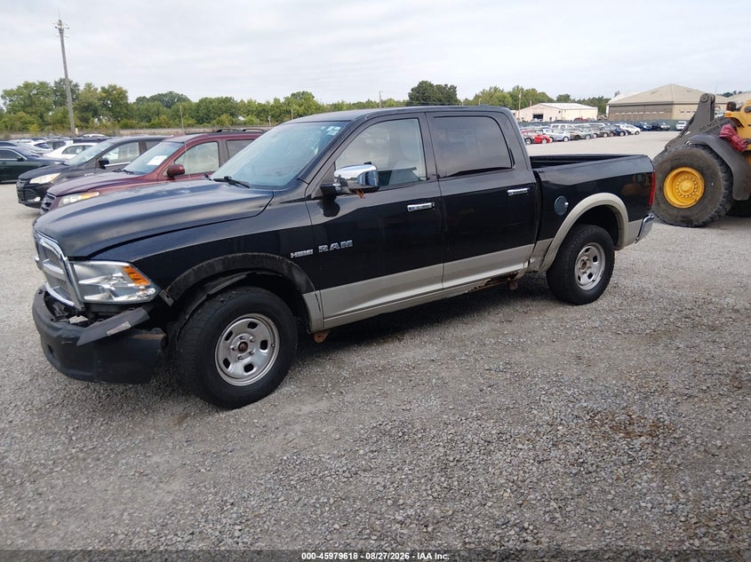 DODGE RAM 1500 2010 VIN 1D7RV1CT0AS114127