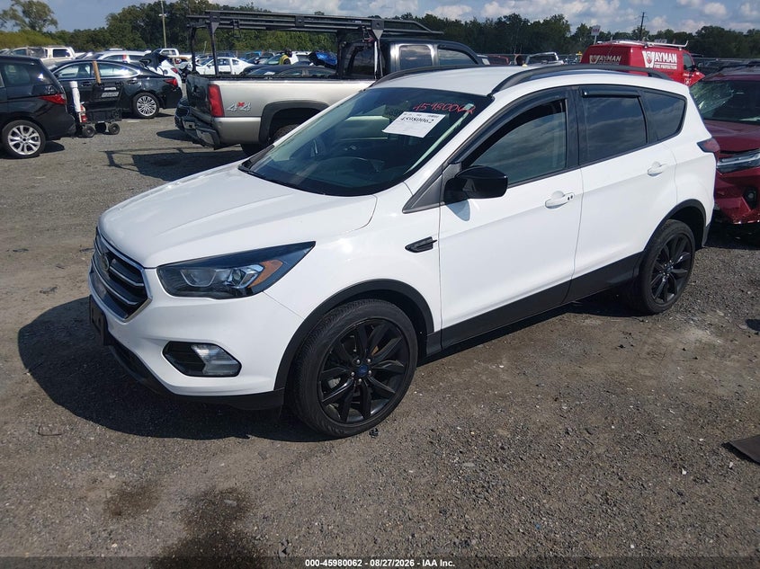 2019 Ford Escape, Правый бок, IAAI, VIN 1FMCU0GD3KUB20571 — фото 2