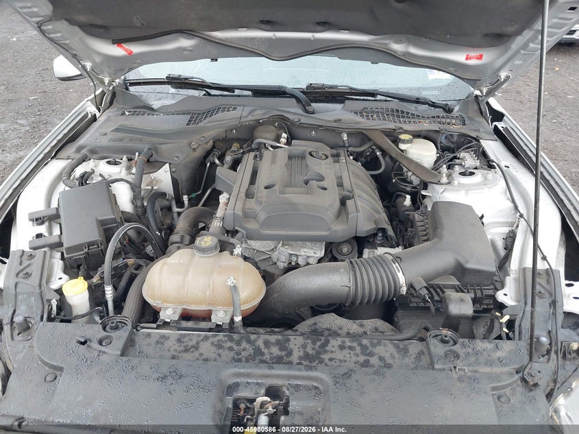 FORD MUSTANG - zdjęcie 10