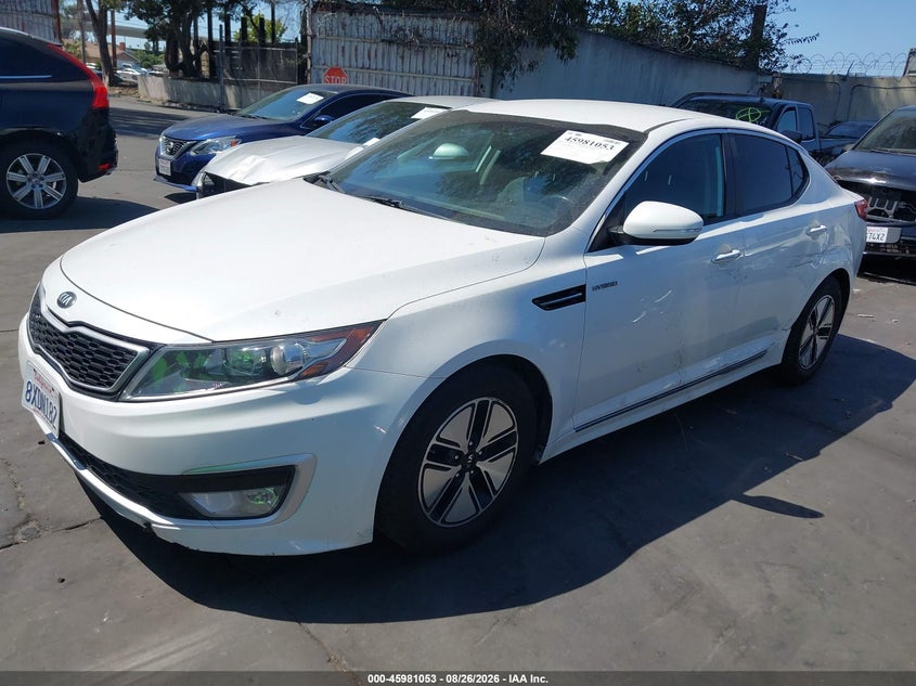 2013 Kia Optima, Левый бок, IAAI, VIN KNAGM4AD1D5062086 — фото 2