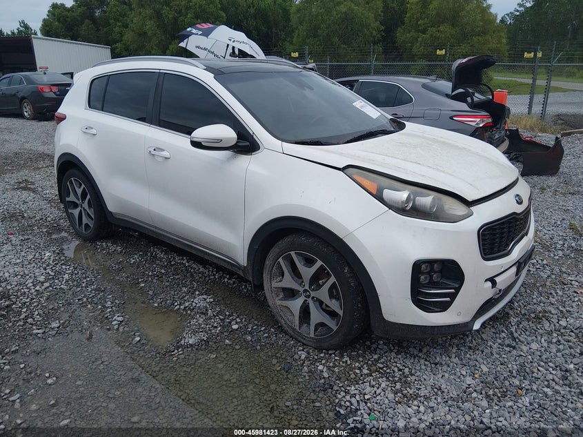 KIA SPORTAGE 2017 VIN KNDPR3A6XH7126782