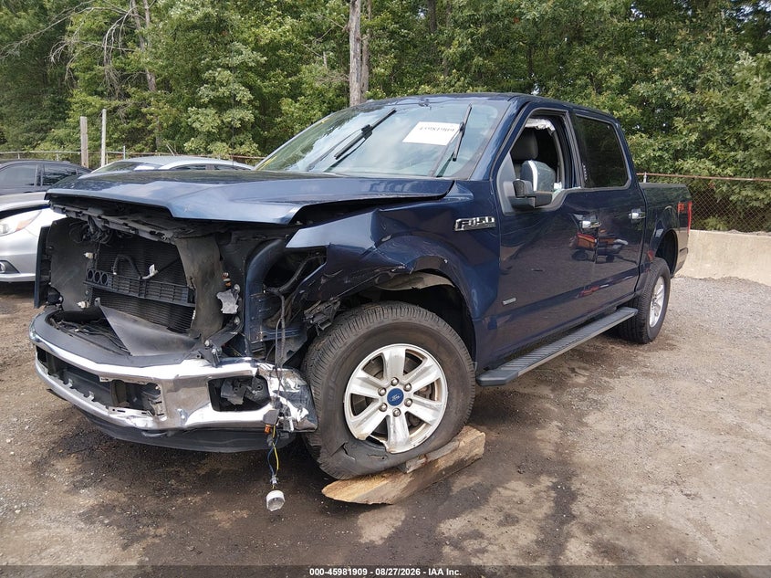 2015 FORD F-150 auction photo 2