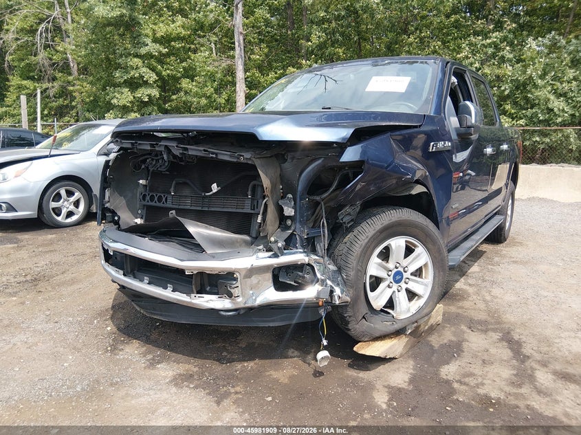 2015 FORD F-150 auction photo 6
