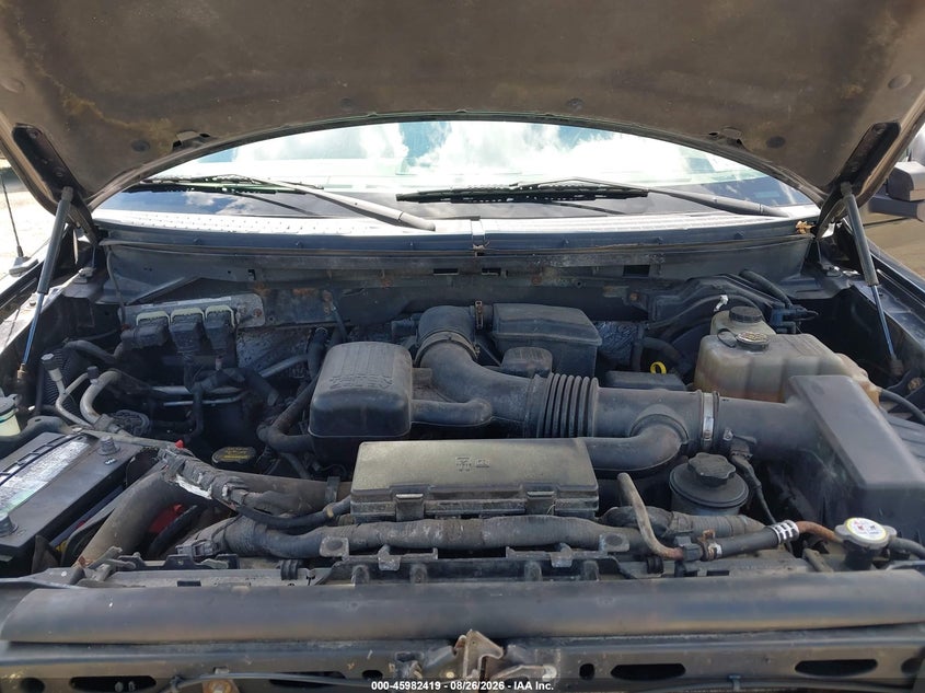 FORD F-150 2010 VIN 1FTFX1EV8AFA82428