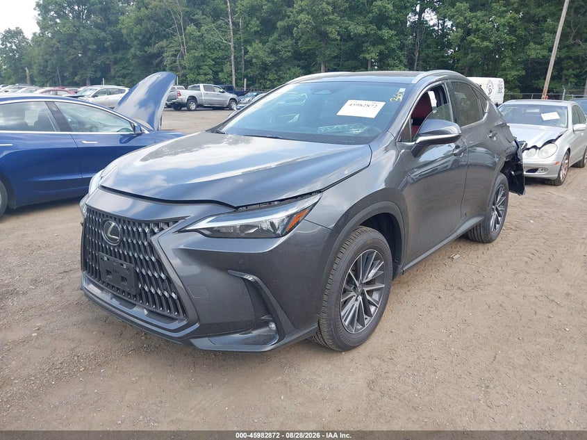 2025 Lexus NX, Удар сзади, IAAI, VIN 2T2GGCEZXSC092273 — фото 2