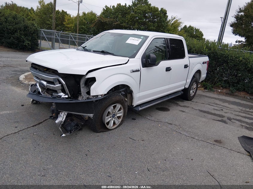 Vin: 1ftew1ef6ffb98550, lot: 46482555, ford f-150 xlt 20152