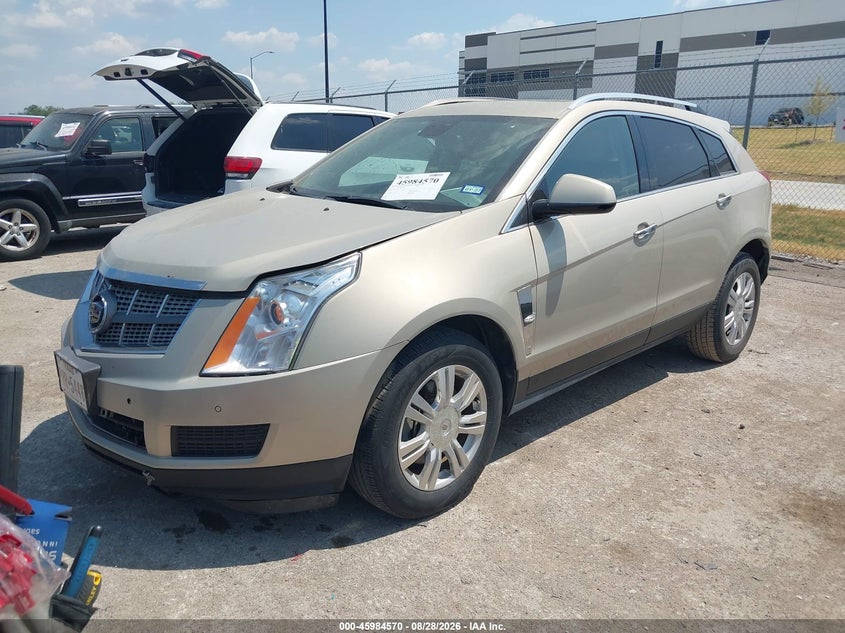 2010 Cadillac SRX, Правый зад, IAAI, VIN 3GYFNAEY1AS557214 — фото 2
