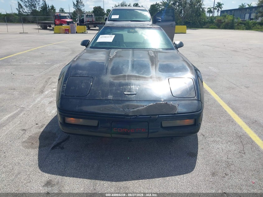 CHEVROLET CORVETTE 1993 VIN 1G1YY23P0P5113095
