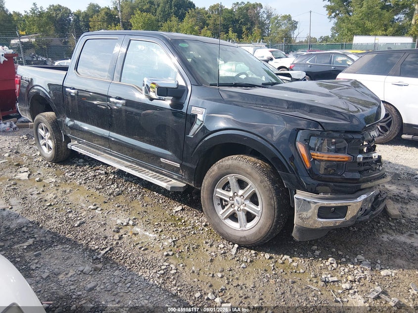 Vin: 1ftfw3ld5sfa16316, lot: 46485389, ford f-150 xlt 2025 img_1