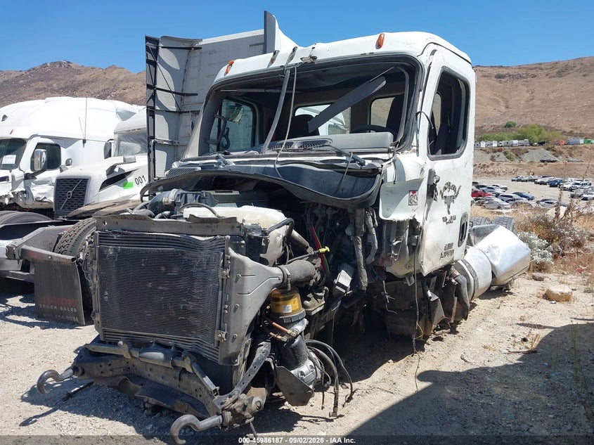 2015 FREIGHTLINER CASCADIA 113 auction photo 2