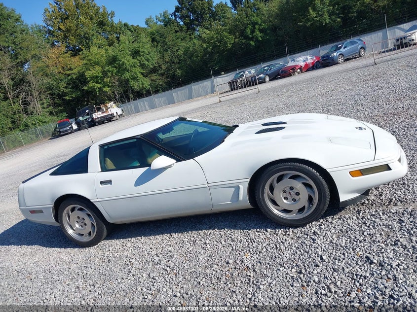 CHEVROLET CORVETTE 1996 VIN 1G1YY22P1T5113053