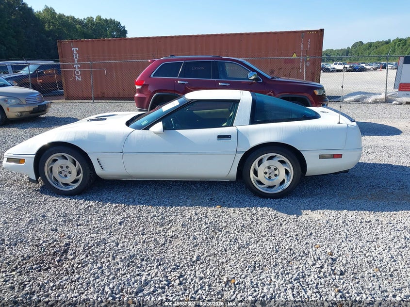 CHEVROLET CORVETTE 1996 VIN 1G1YY22P1T5113053