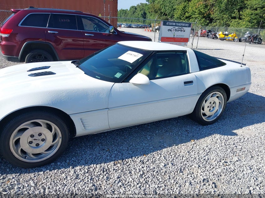 CHEVROLET CORVETTE 1996 VIN 1G1YY22P1T5113053