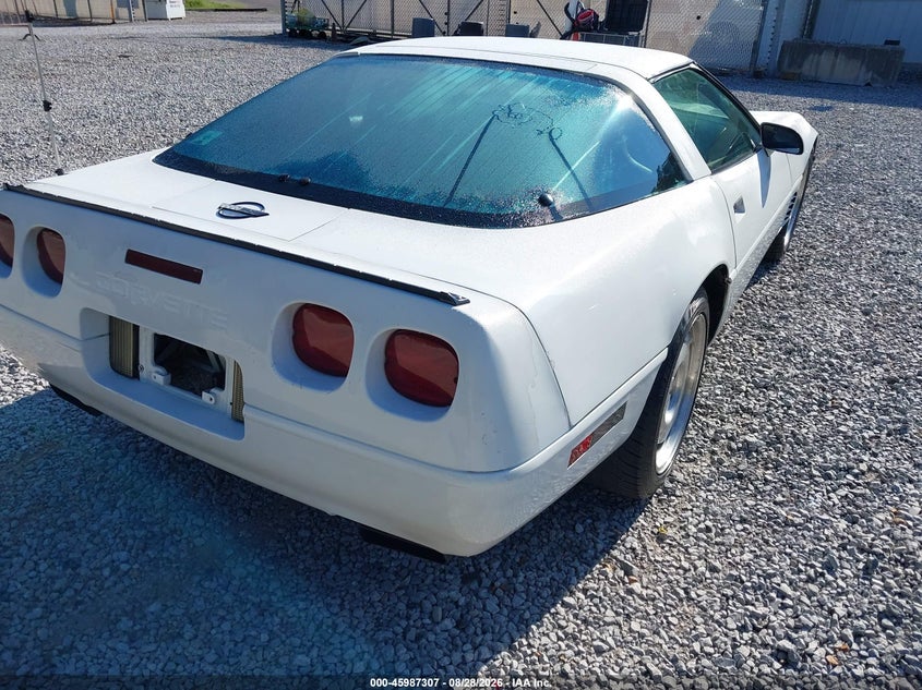 CHEVROLET CORVETTE 1996 VIN 1G1YY22P1T5113053