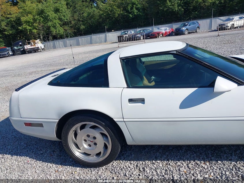 CHEVROLET CORVETTE 1996 VIN 1G1YY22P1T5113053