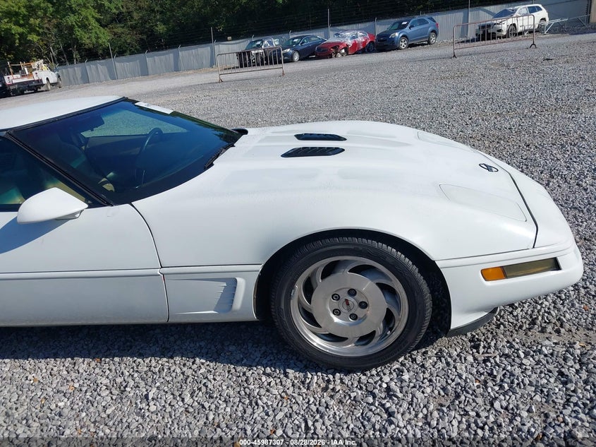 CHEVROLET CORVETTE 1996 VIN 1G1YY22P1T5113053