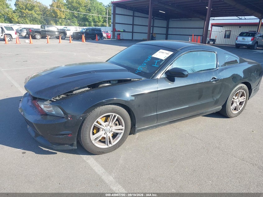 2014 Ford Mustang V6, Удар спереди, IAAI, VIN 1ZVBP8AM1E5210019 — фото 2