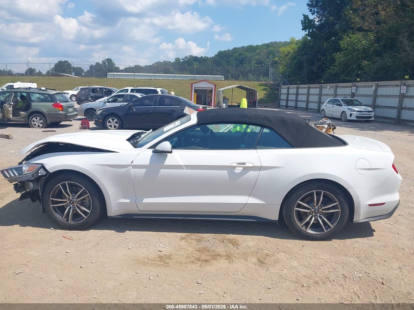 FORD MUSTANG - zdjęcie 14