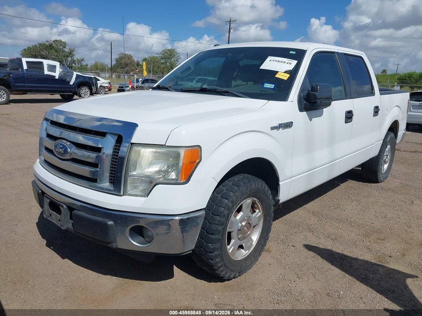 Vin: 1ftew1cm7cfa19879, lot: 46488166, ford f-150 xlt 20122